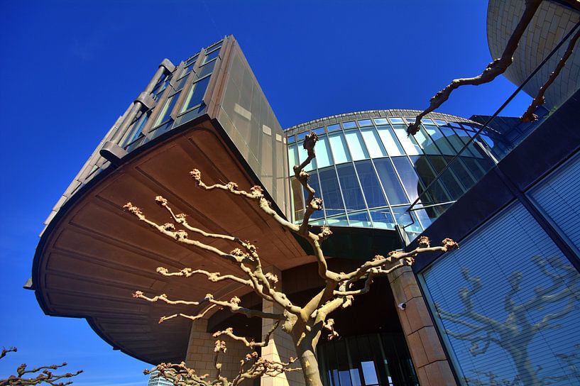 Arbre et architecture du Landtag par Edgar Schermaul