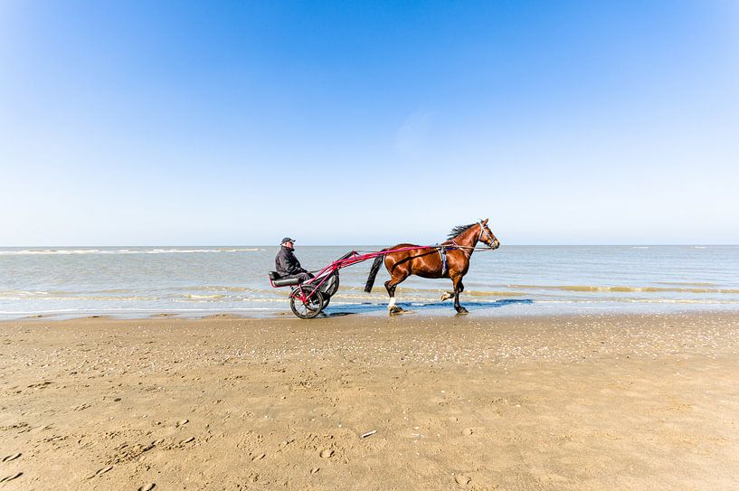 Met paard en wagen over het strand by Tony Buijse