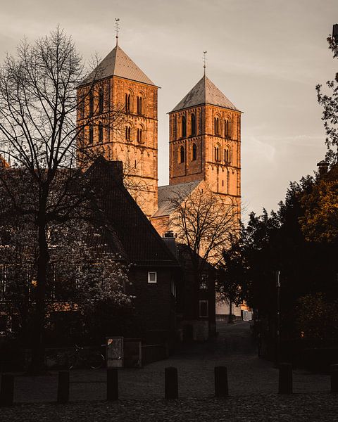 Münster von Arnold Maisner
