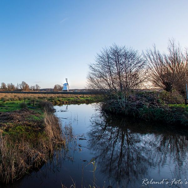 Die weiße Mühle von Roland's Foto's