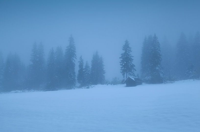 Deep winter von Olha Rohulya