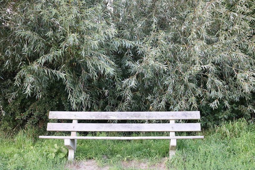 Bench in nature by Rosalie Broerze