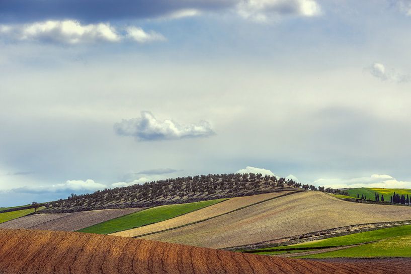 Paysage vallonné d'Andalousie par Peter Poppe
