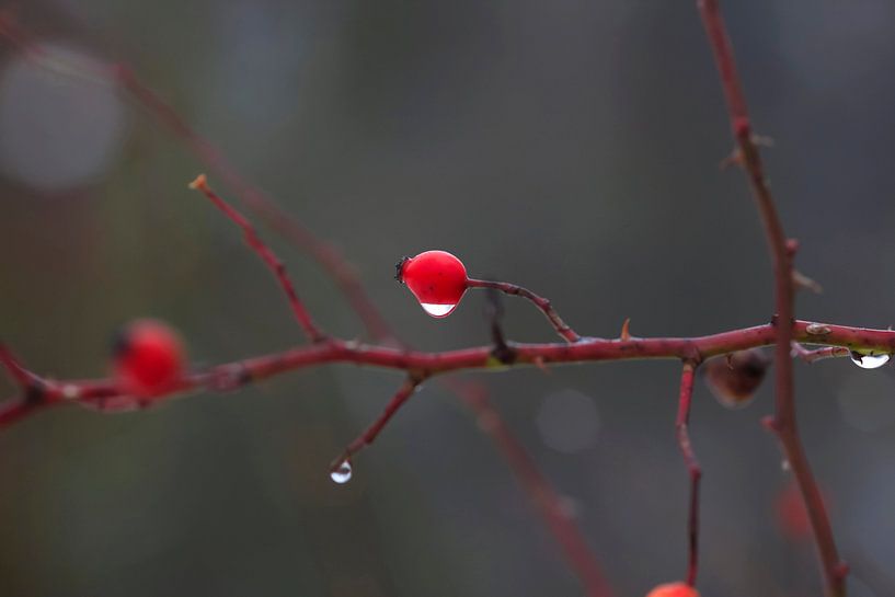 Tauwetter von Thomas Jäger