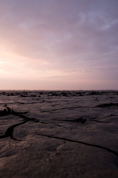 Mudflat Textures par Anna Groenia