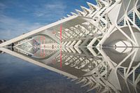 Spiegel der wetenschap 3