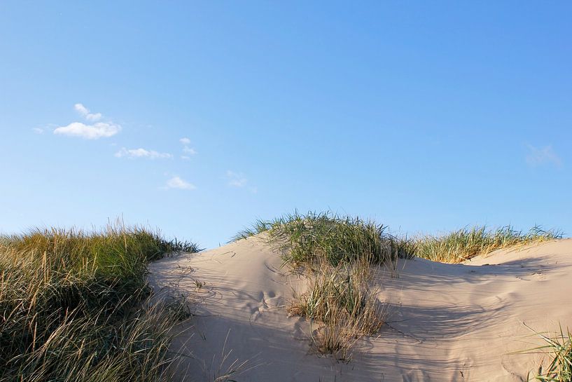 Im Licht von Ostsee Bilder