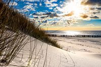 Coucher de soleil sur les dunes de Domburg