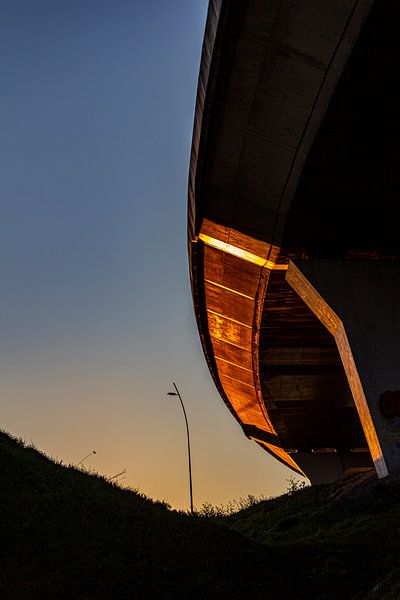 coucher de soleil par ton vogels