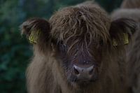 Let's have a good talk