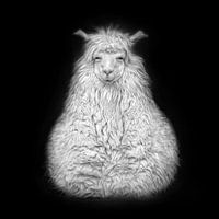 Seated alpaca