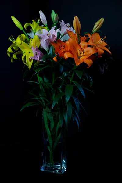 Bunte Lilienpracht von Marika Rentier