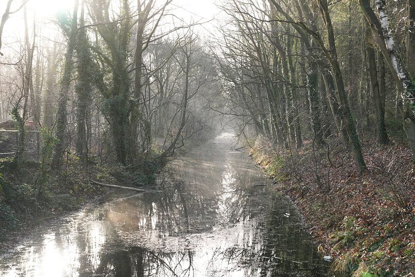Einsame Ruhe am Wasser von Johan Snoek