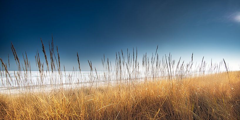 Beach by the sea with dunes in the sunlight by Voss photography