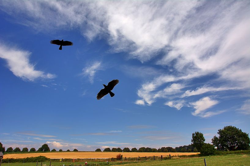 Des corbeaux dans le ciel par Edgar Schermaul