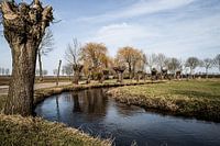 Half Horseshoe Bend in Swalmen, Roermond