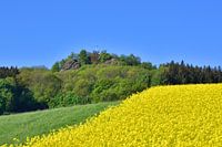 Spitzberg in Oberoderwitz