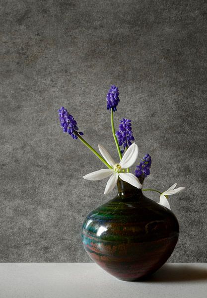 Still life with grape Hyacinth by Corinne Welp