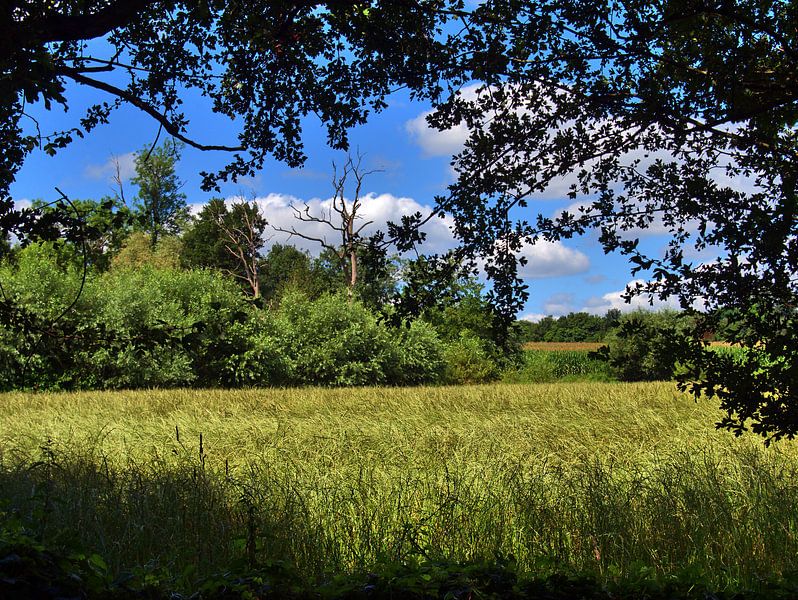 Arbre 3 par Edgar Schermaul