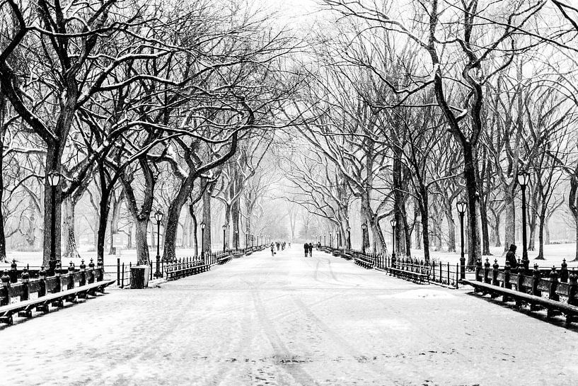 New York City, hiver (monochrome) par Sascha Kilmer