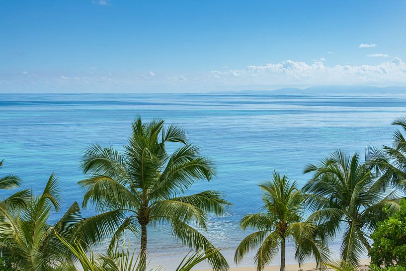 Palm beach in the Seychelles by Peter Baier