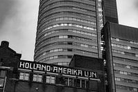 Linie Holland Amerika