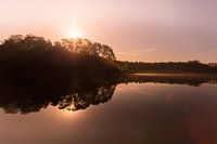 Nature instrumentale