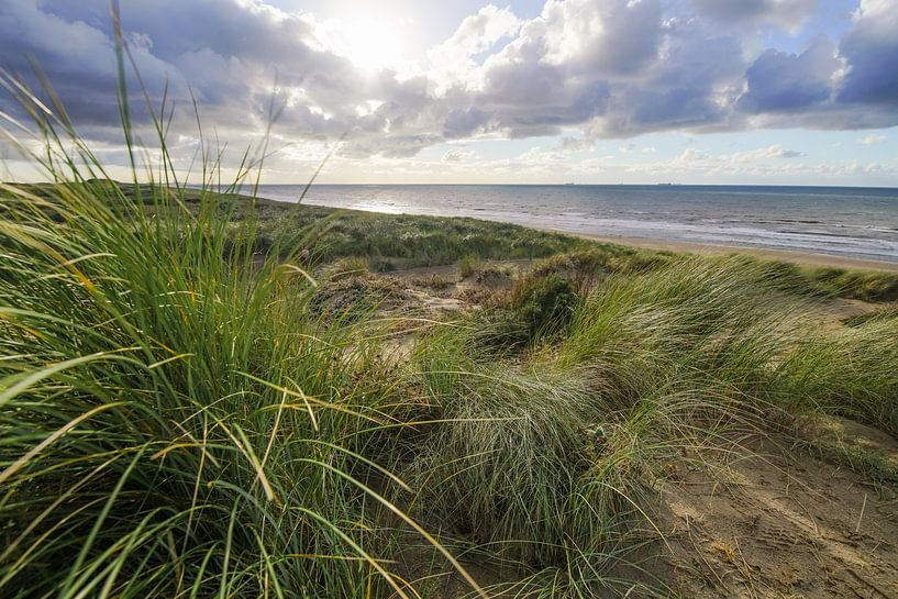 Strand, Meer und Sonne von Dirk van Egmond