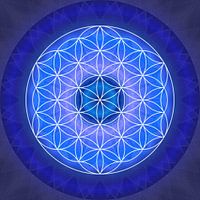Brow Chakra with Flower of Life