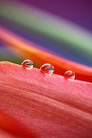 des gouttes par trois