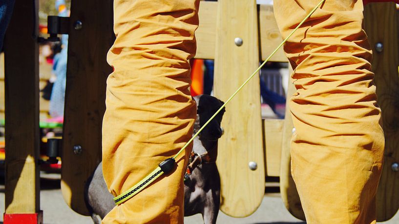 his masters legs par Frenz' van de Grift