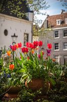 Frühling in der Raamgracht