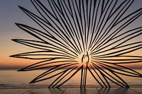 Coucher de soleil vu à travers une fleur / Sonnenuntergang durch eine Blume gesehen