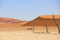 Sossusvlei