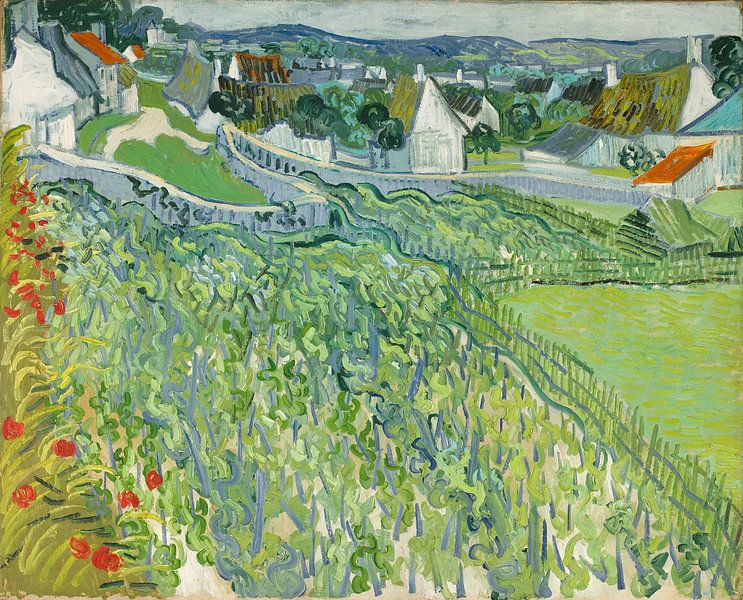 Weinberge bei Auvers, Vincent van Gogh von Meisterhafte Meister