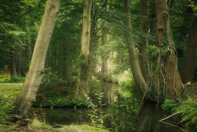 Upstream von Ellen Borggreve