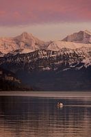 Views of the Swiss Alps