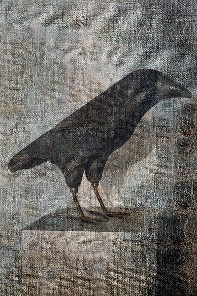 Krähe auf Leinwand von Marijke de Leeuw - Gabriëlse