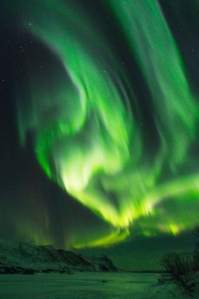 Nordlicht über einem zugefrorenen See in einer verschneiten Winterlandschaft auf den Lofoten von Sjoerd van der Wal Fotografie