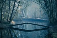 Der geheimnisvolle Dwaal Park in Hoorn