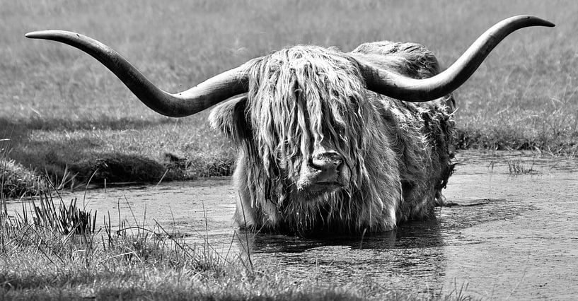 ein kühlendes Bad für eine schöne schottische Highlanderin von Miny'S