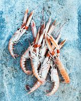 SF12478080 Stilleven van verse zeegarnalen