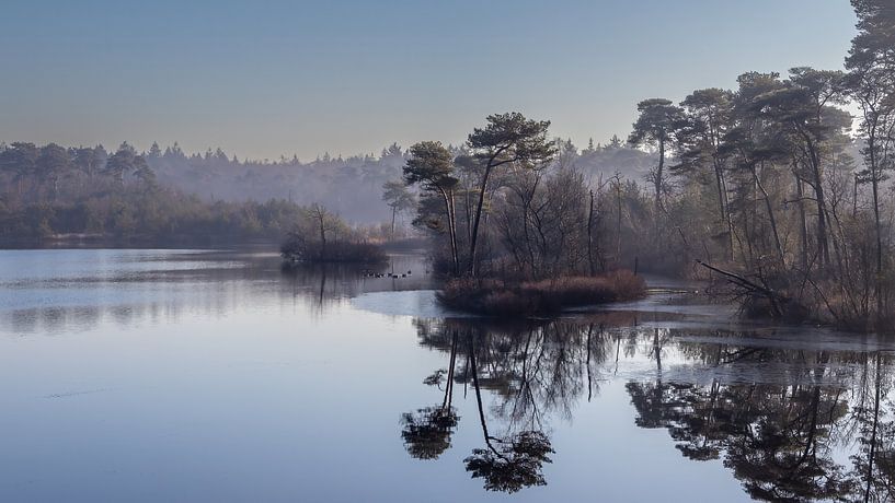 Landscape Voorste Goorven by Julienne van Kempen