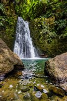 Wasserfall, Azoren, Sao Miguel
