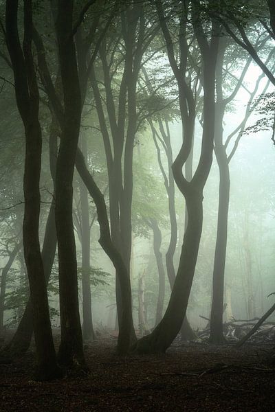 La marche du matin .... par Peter Korevaar