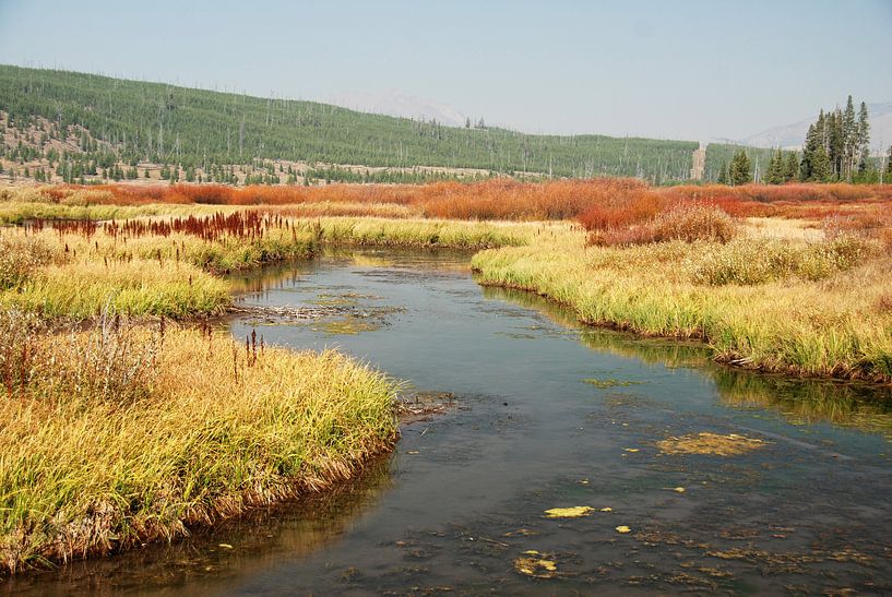 YELLOWSTONE NATIONAL PARK -  USA par Roelof Touw