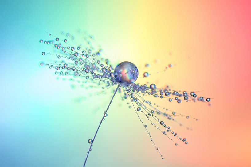 Gouttelettes d'eau sur une peluche par Bert Nijholt