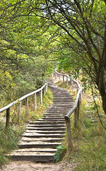 Landschap by Carla Eekels