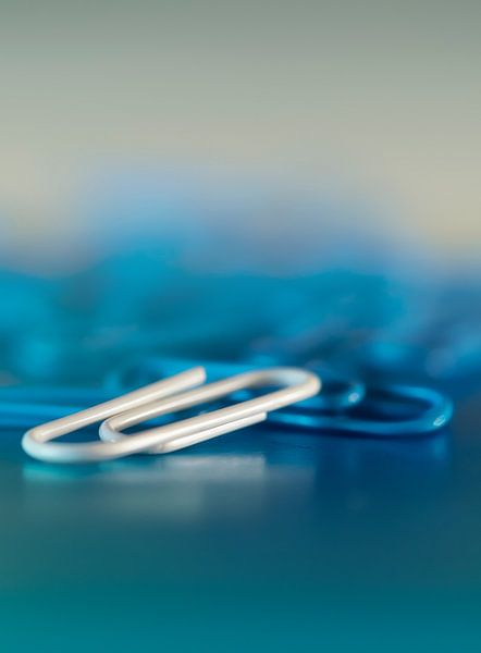 Blauw-Wit von Ellen Driesse