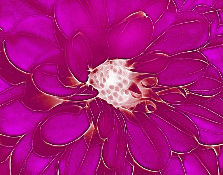 So Violet (Pink Dahlia Art) by Caroline Lichthart